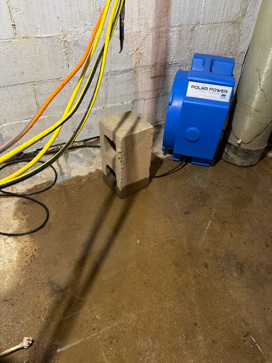 Basement water extraction in Foster Estates Indiana home